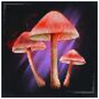 Liberty Cap